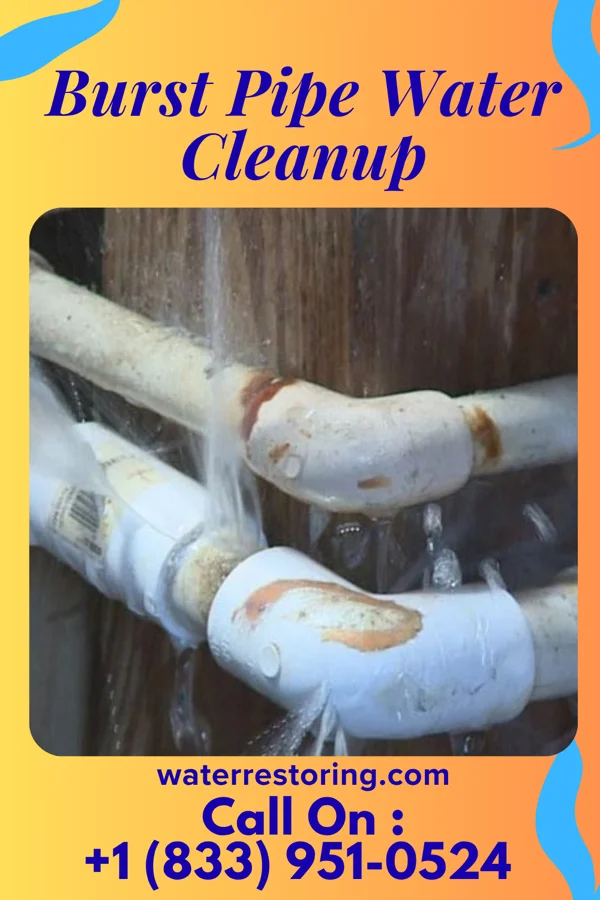 Burst Pipe Water Cleanup in Hebron, PA