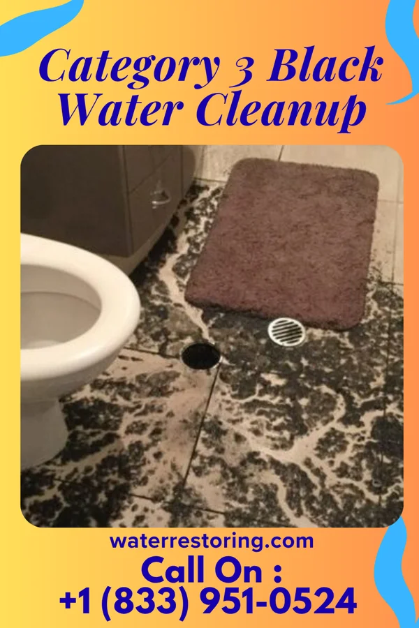 Category 3 Black Water Cleanup in Hebron, PA