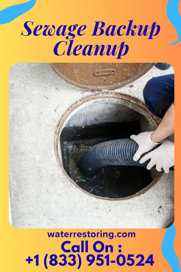 Sewage Backup Cleanup in Hebron, PA