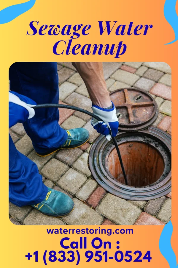 Sewage Water Cleanup in Hebron, PA