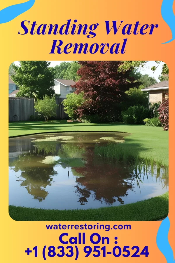 Standing Water Removal in Hebron, PA